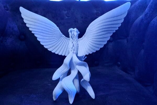phoenix derriere